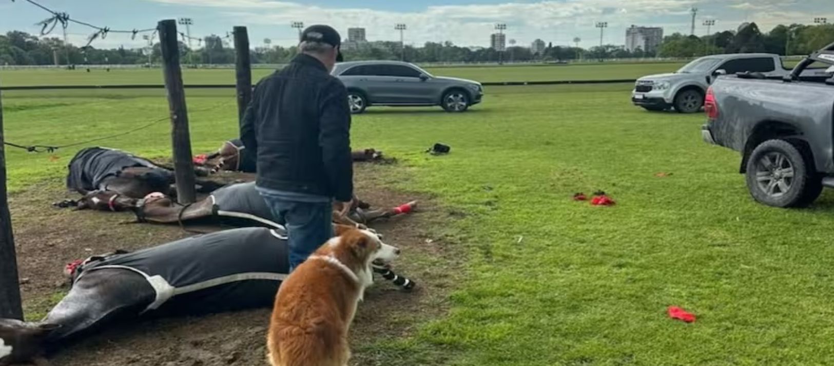Imagen de la noticia: Tragedia en el Hipódromo: cómo la corriente de un rayo alcanza a los caballos