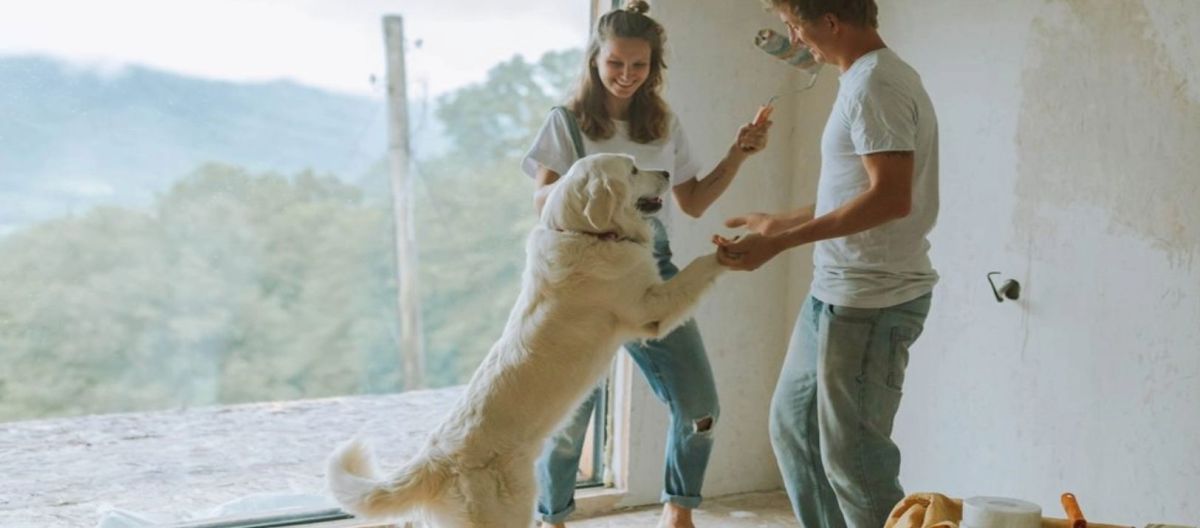 Imagen de la noticia: ¿Los hombres y la mujeres aman igual a los animales?