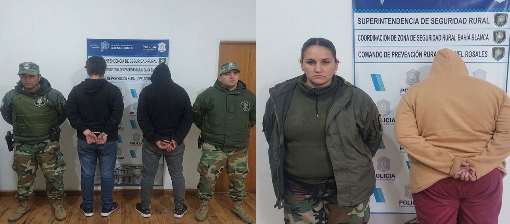 Imagen de la noticia: Punta Alta: robaron un novillo de 200 kilos y lo llevaban en el baúl de un auto