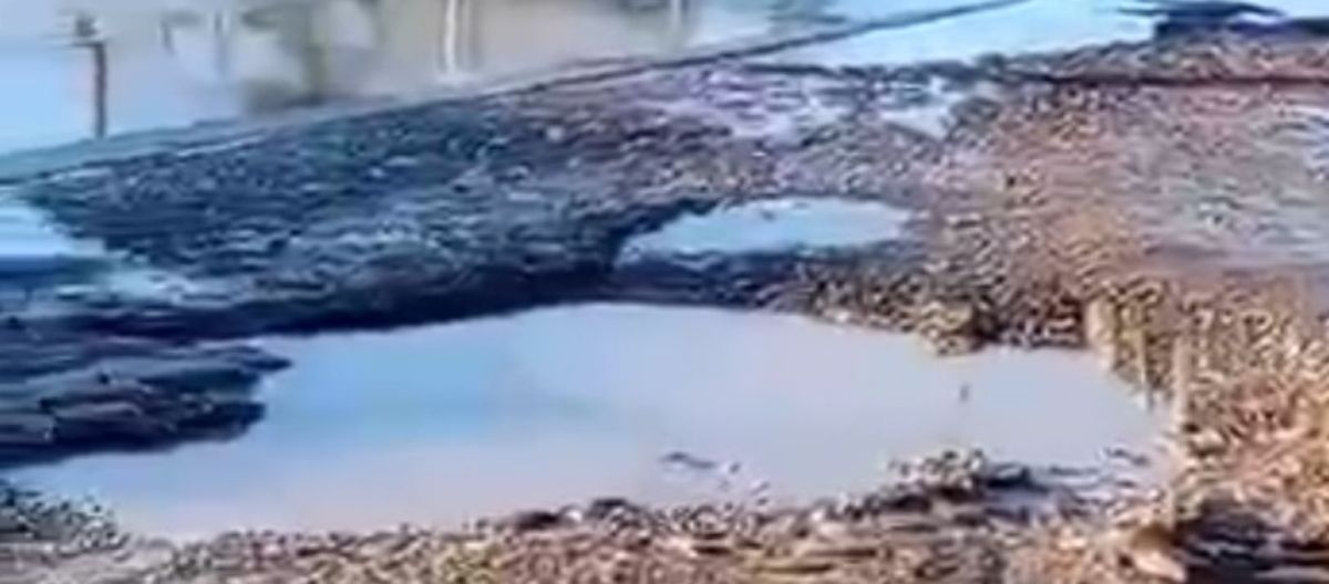 Imagen de la noticia: Vecinos del barrio Richieri aseguran que viven entre ríos de materia fecal