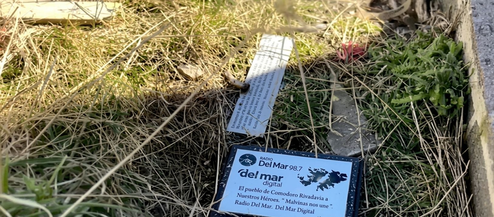 Imagen de la noticia: Polémica en Malvinas: desechan placas de homenaje a soldados en Darwin