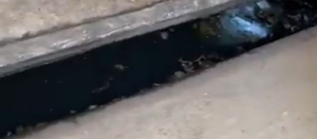 Imagen de la noticia: Denuncian que las bocas de tormenta del centro están tapadas de basura