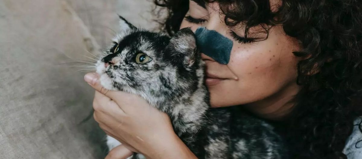 Imagen de la noticia: Tu gato te quiere: lo dice la ciencia