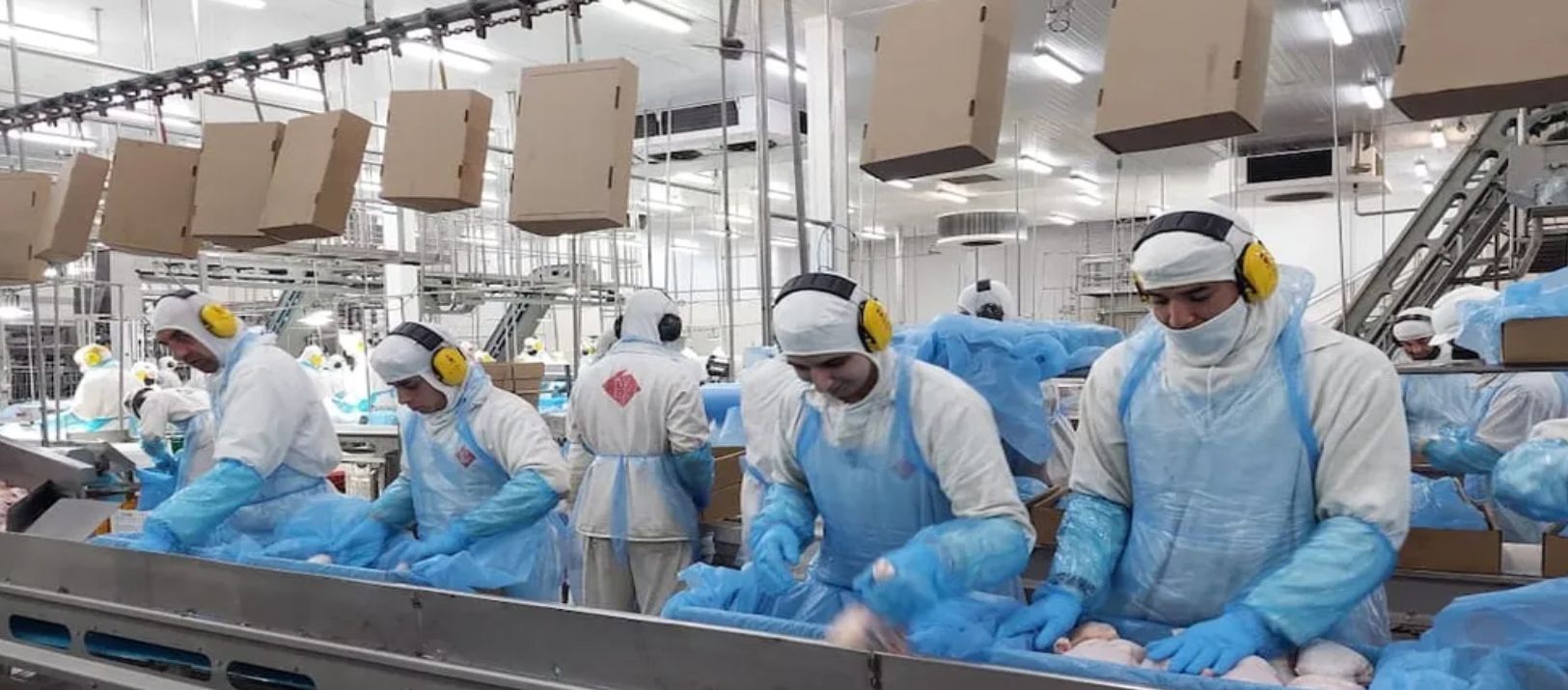 Imagen de la noticia: Alerta laboral: Granja Tres Arroyos despidió a 255 trabajadores