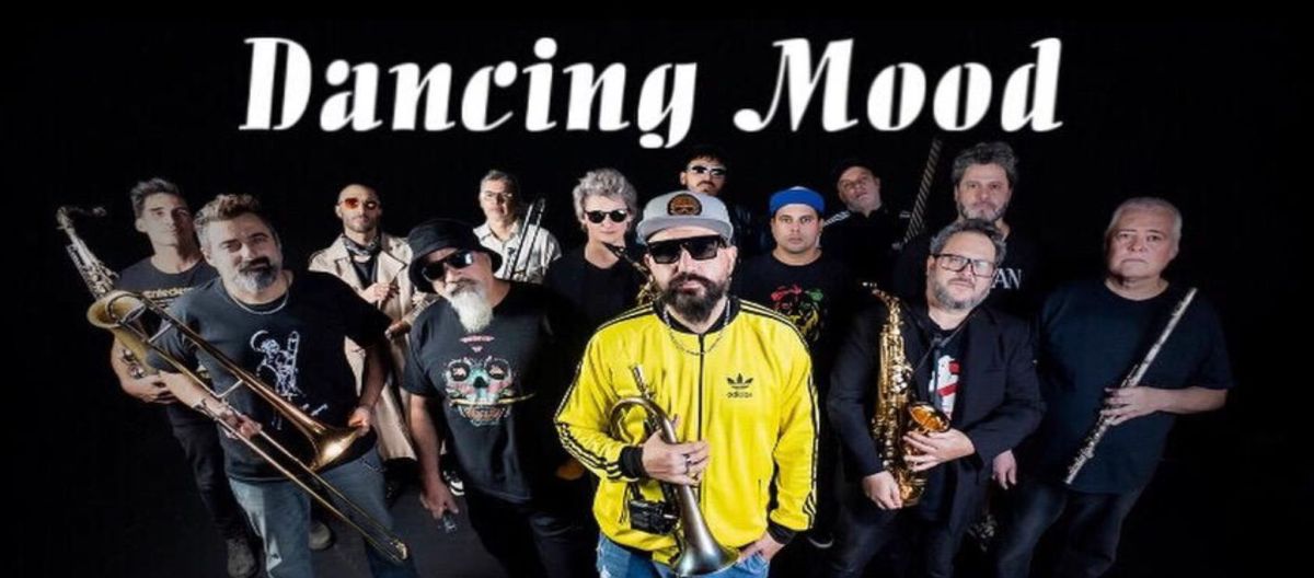 Imagen de la noticia: Dancing Mooo llega al CC Konex