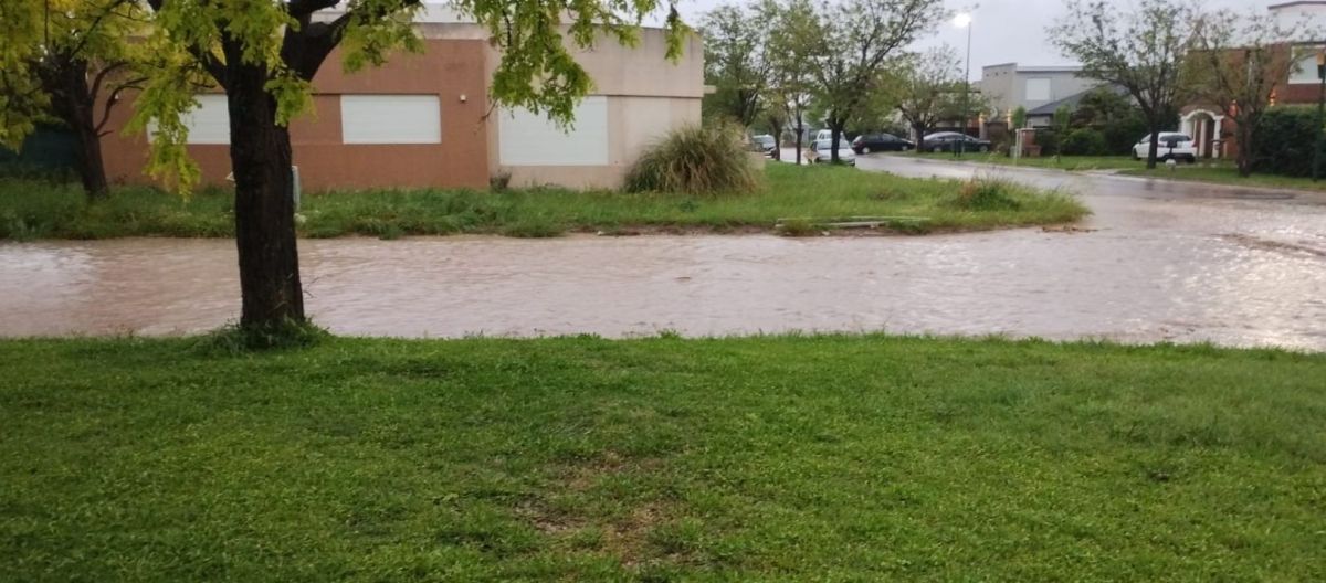 Imagen de la noticia: Alerta amarilla: qué indica la última actualización