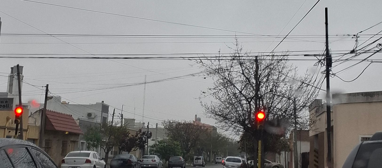 Imagen de la noticia: Pronóstico trimestral del SMN: qué se anticipa para la región de Bahía Blanca