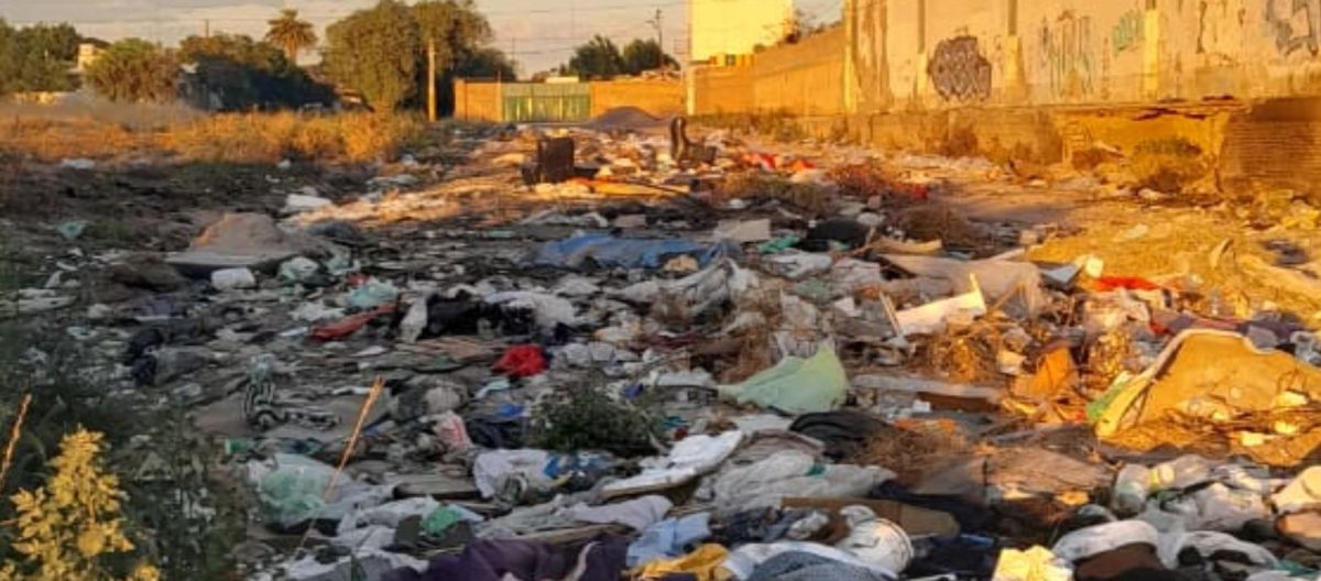 Imagen de la noticia: Barrio San Martín: las ratas se apoderaron de calle Tierra del Fuego