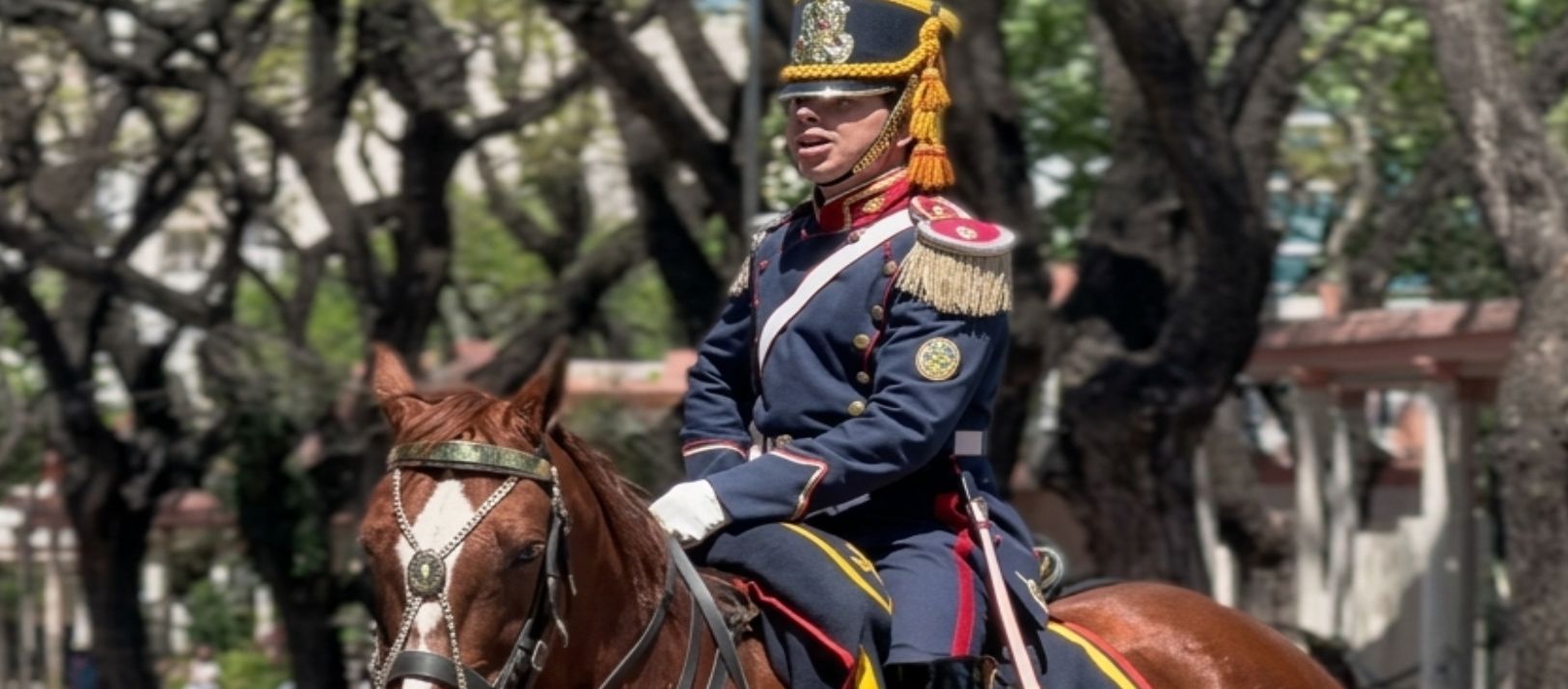 Imagen de la noticia: Se rinde honores a San Martín con la presencia de los Granaderos a Caballo