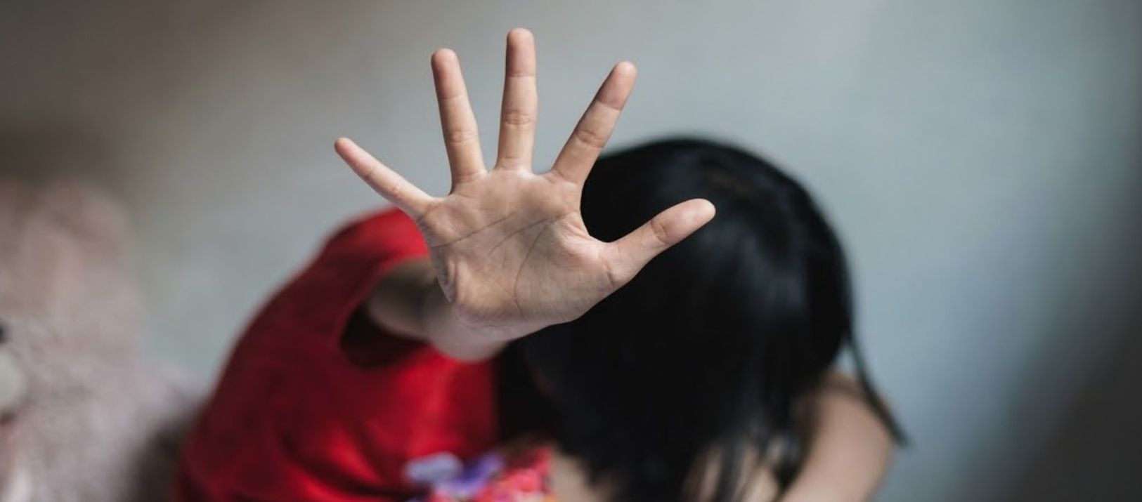 Imagen de la noticia: Un caso aberrante: piden 29 años para el acusado de abusar de su hija y sobrina
