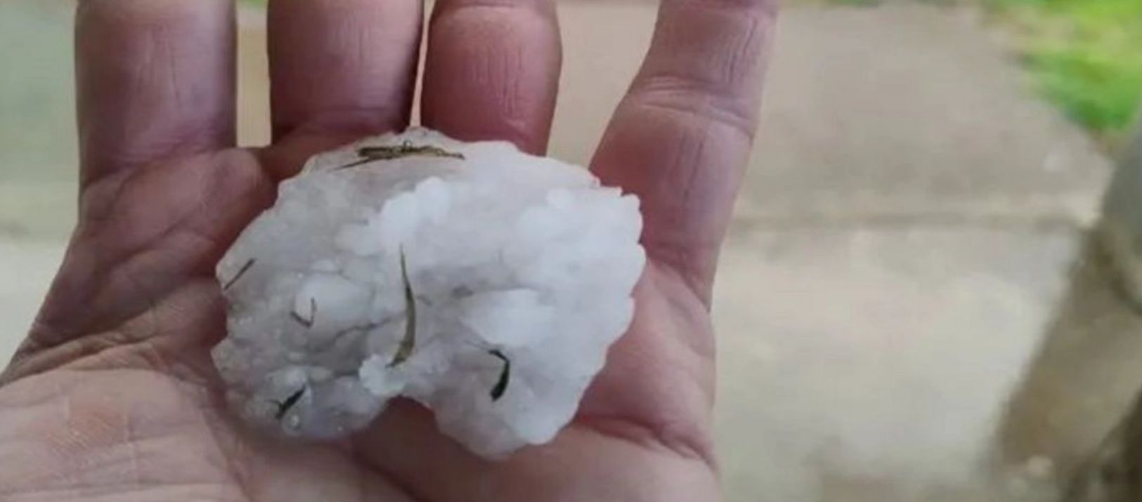 Imagen de la noticia: Granizo de diversos tamaños sorprendió a vecinos de Santa Rosa