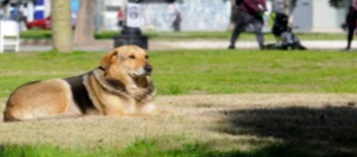 Imagen de la noticia: Nos espera un sábado soleado