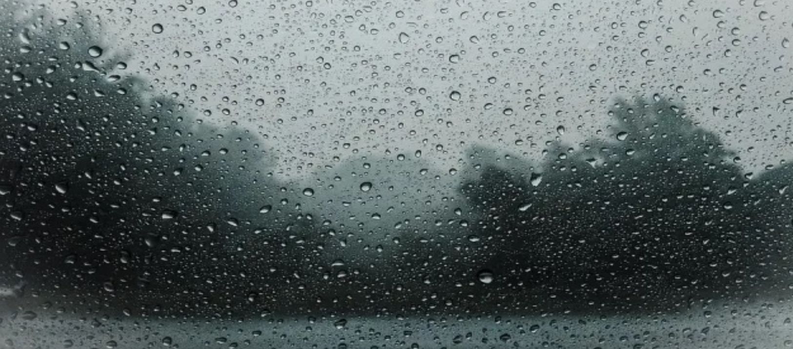 Imagen de la noticia: Se viene un viernes frío, nublado, húmedo y con probabilidad de lluvias
