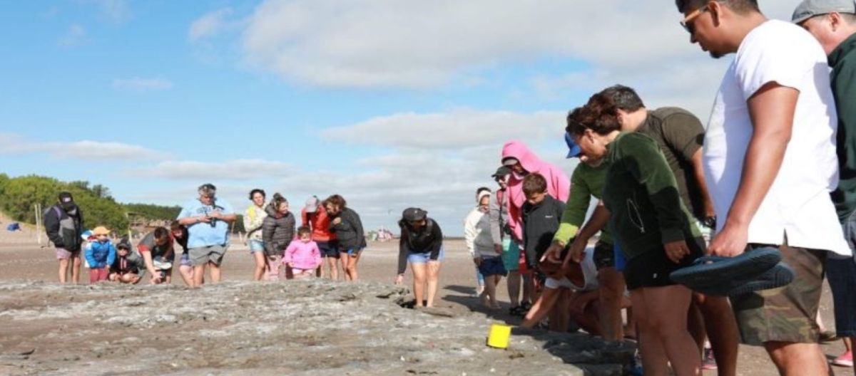 Imagen de la noticia: Podrán visitarse las huellas paleontológicas de Monte Hermoso - Pehuen Co