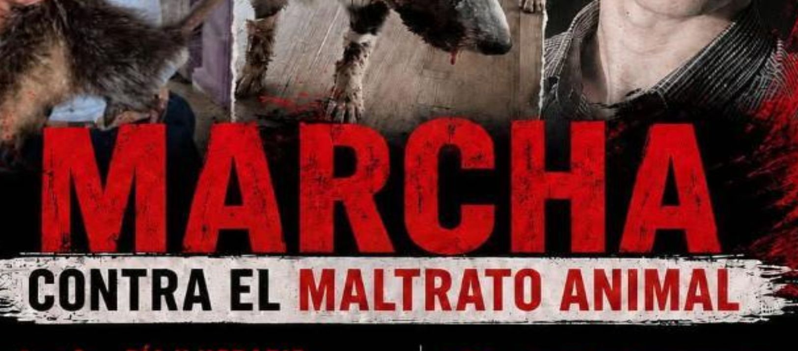 Imagen de la noticia: Mañana se realizará una marcha contra el maltrato animal