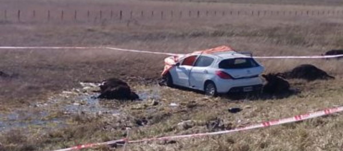 Imagen de la noticia: Ruta 3: Murió un bahiense cerca de Benito Juárez