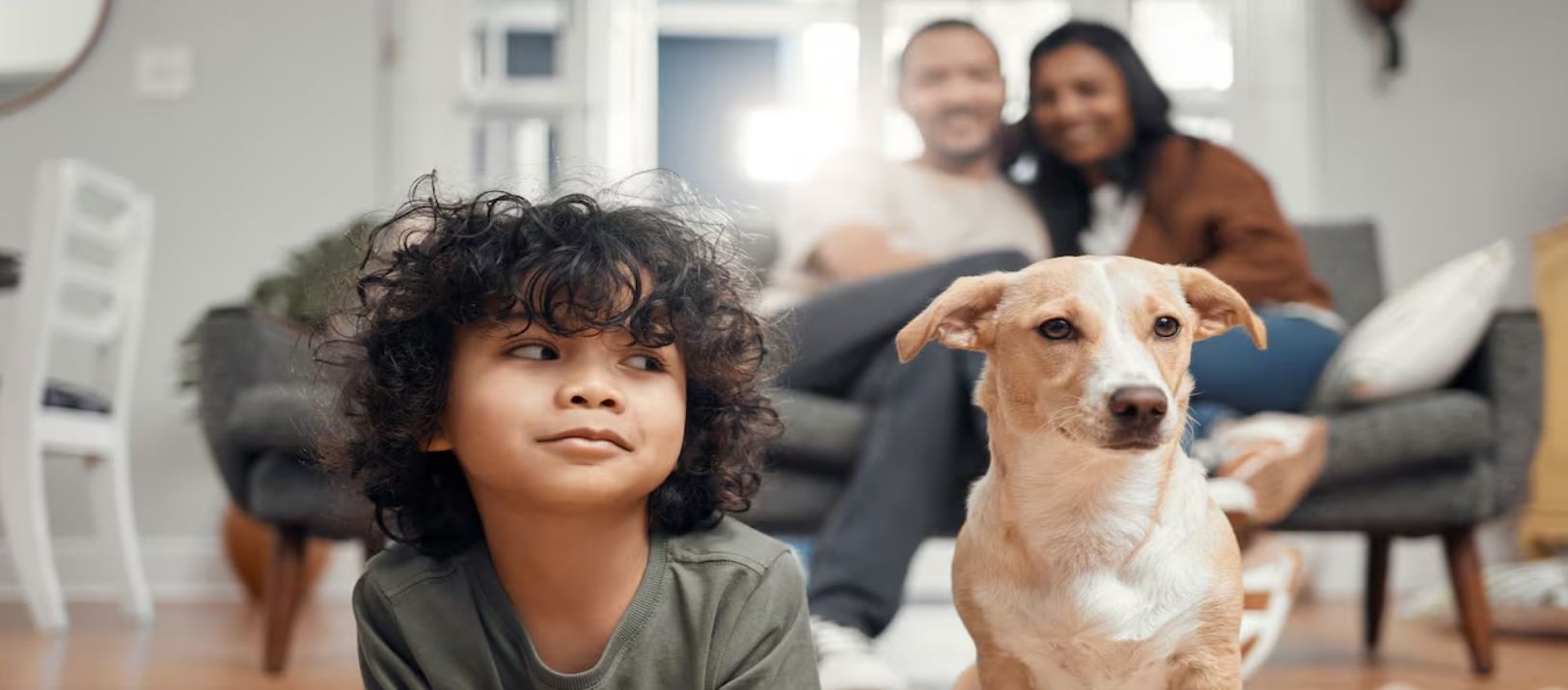 Imagen de la noticia: Por qué se relaciona el aumento de las mascotas con la baja de la natalidad