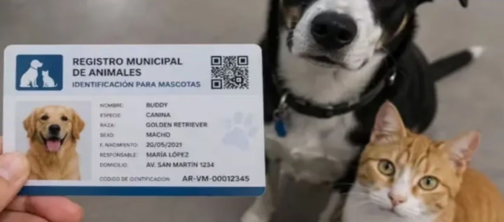 Imagen de la noticia: Una ciudad de Córdoba implementó un DNI obligatorio para perros y gatos