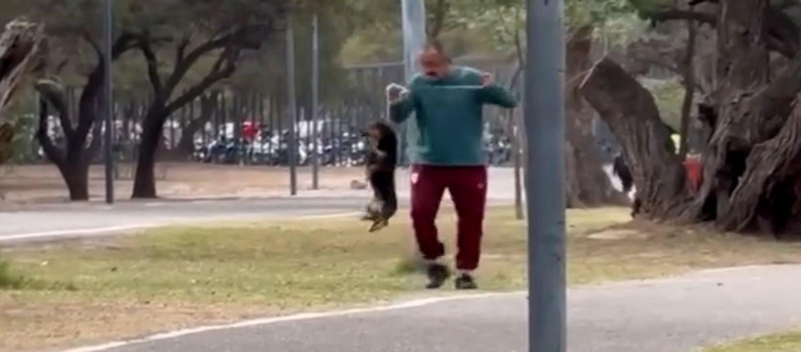 Imagen de la noticia: Catamarca: le iniciaron una causa a un hombre que ahorcó a su perro salchicha