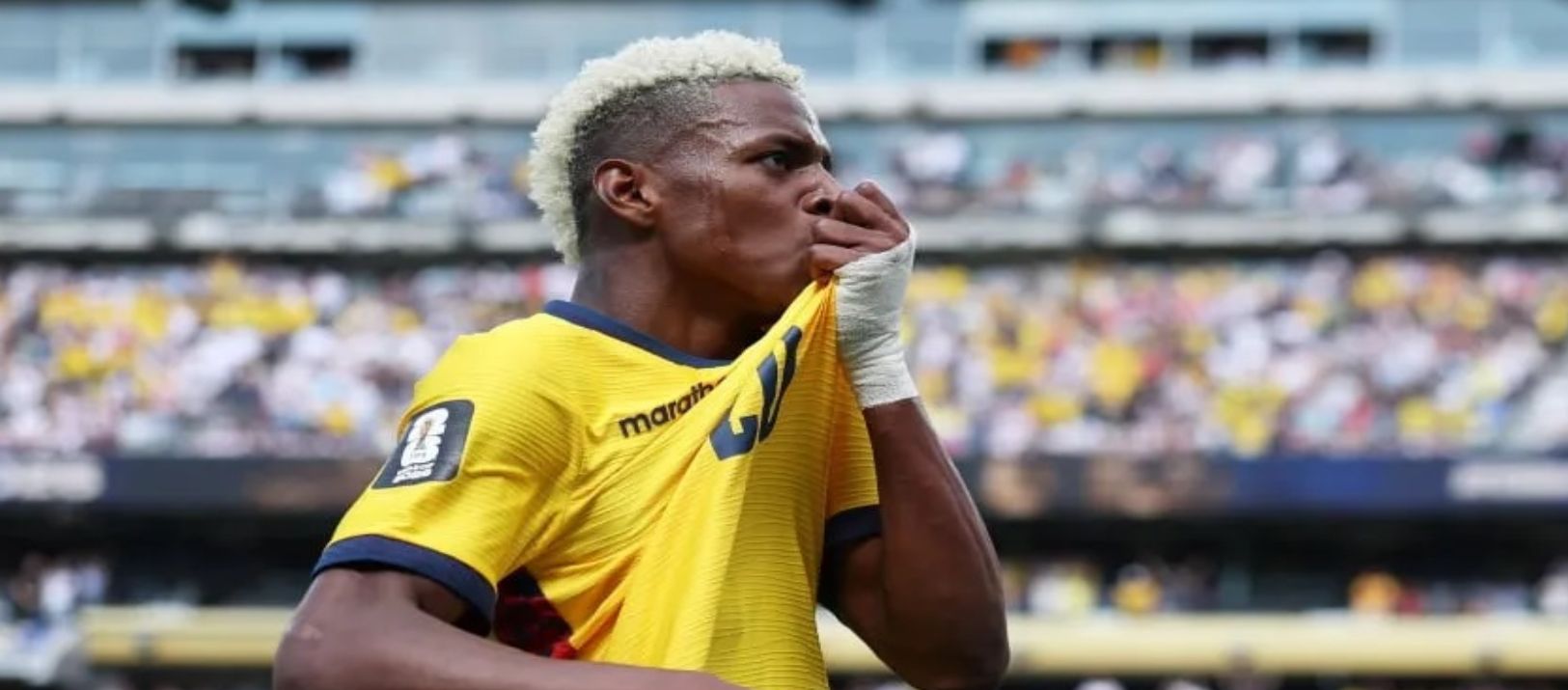 Imagen de la noticia: Batacazo de Ecuador: venció por 2-1 a Alemania y clasificó a los 16avos de final