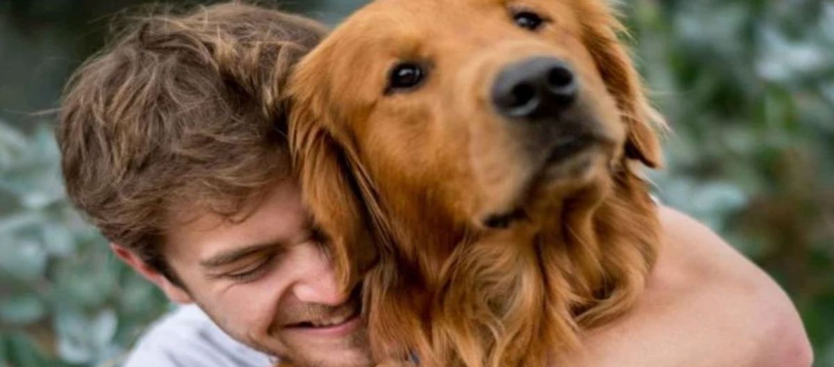 Imagen de la noticia: Signos de que tu perro te es fiel