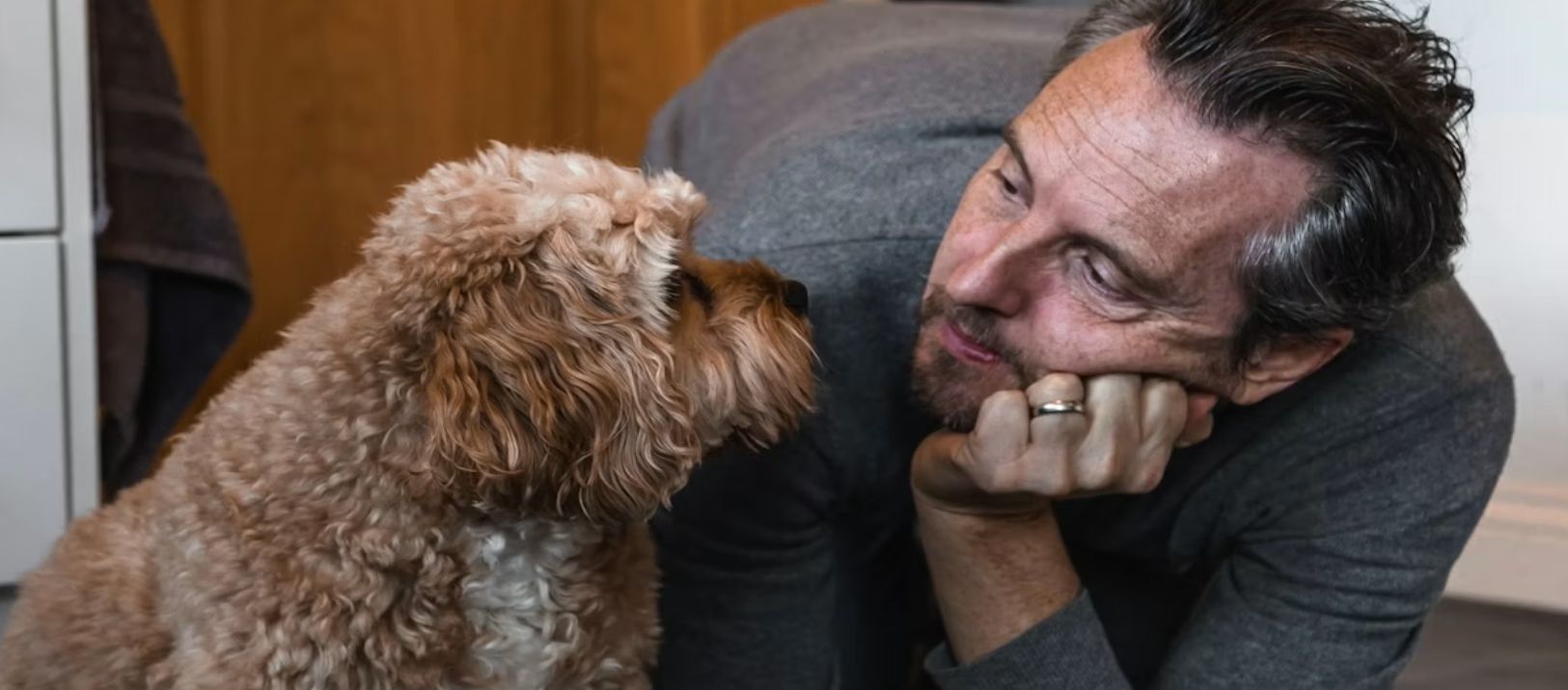 Imagen de la noticia: Por qué nuestro perro obedece mejor cuando estamos de buen humor