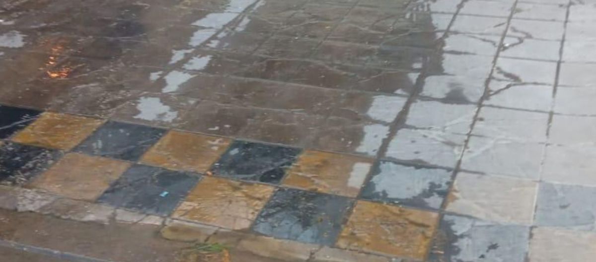 Imagen de la noticia: “Hace 4 días caminamos entre excremento”