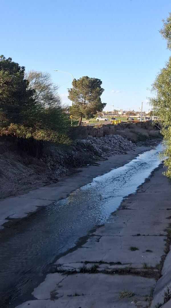 Imagen de la noticia: El SMN emitió un alerta naranja por viento intenso para Bahía Blanca
