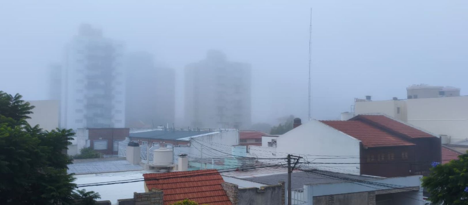 Imagen de la noticia: Los vecinos retratan la niebla en la ciudad