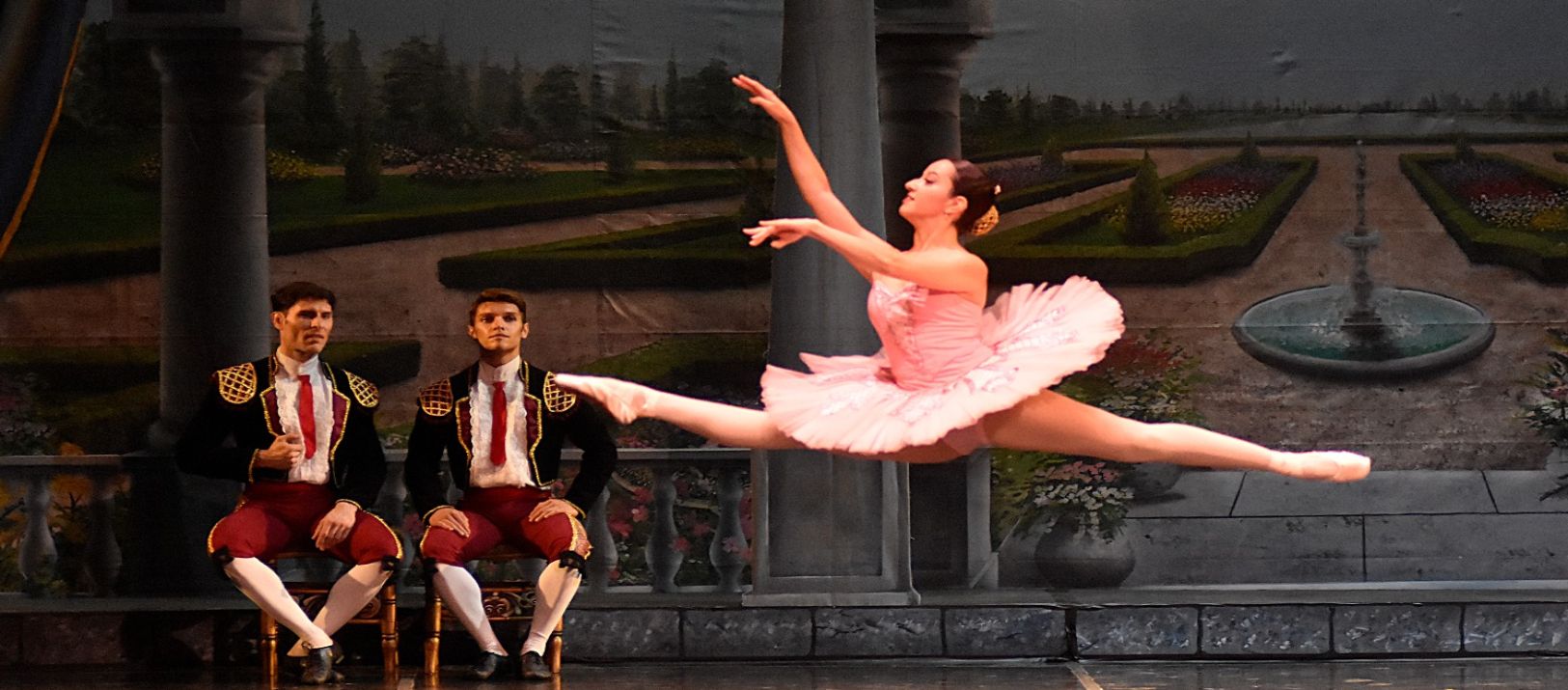 Imagen de la noticia