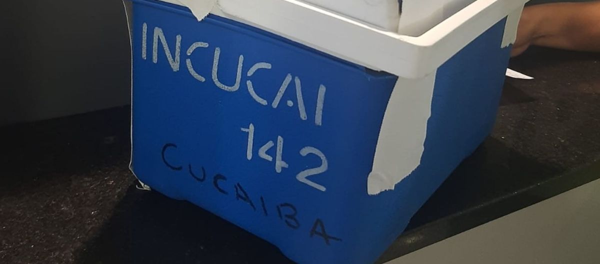 Imagen de la noticia: Donación de órganos: “En los últimos días tuvimos una alta producción”