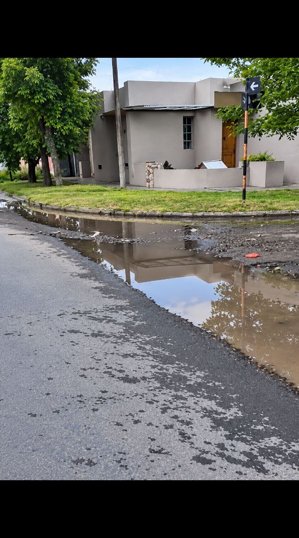 Imagen de la noticia: Denuncia que cada vez que llueve rebalsan las cloacas en la calle y en su baño