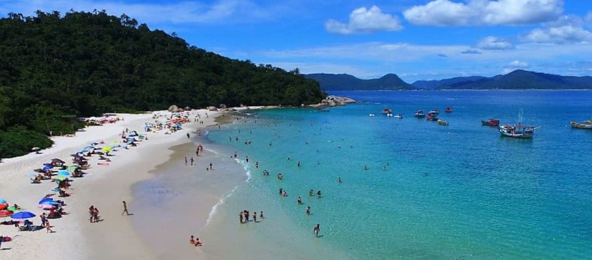 Imagen de la noticia: Atentos los que van a Brasil: detectan playas no aptas para el baño