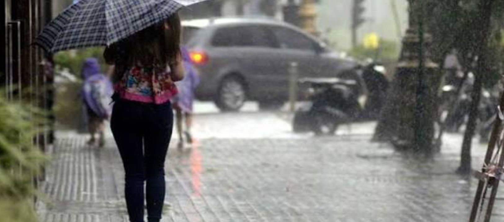 Imagen de la noticia: SMN: Alerta por tormentas par el domingo y brusco descenso de temperatura