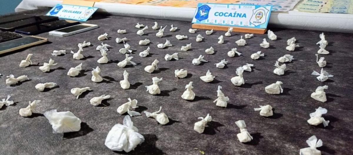 Imagen de la noticia: Se realizó un importante operativo antidrogas en Carmen de Patagones