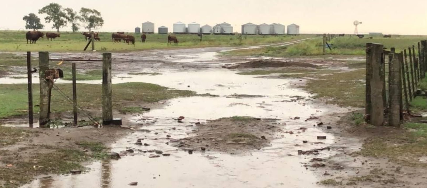Imagen de la noticia: Con la lluvia de ayer Bahía rompió su récord